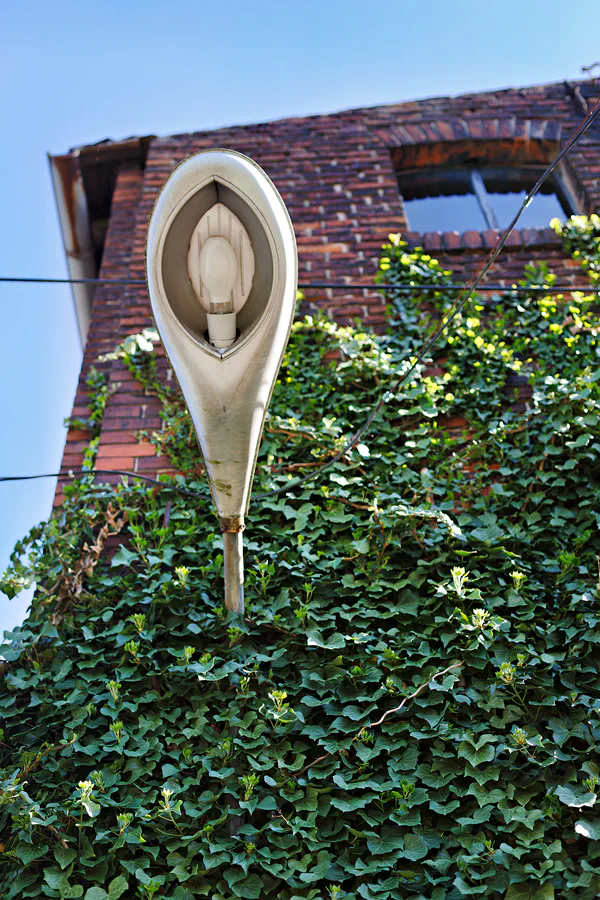 176 | 2025 | Annaburg | Annaburg Porzellan | © carsten riede fotografie