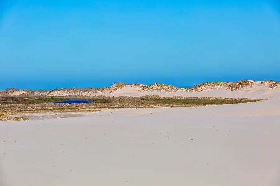 032 | 2025 | Bunken | Rabjerg Mile | © carsten riede fotografie