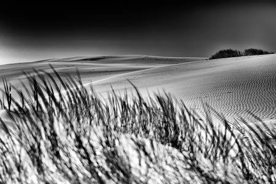034 | 2025 | Bunken | Rabjerg Mile | © carsten riede fotografie
