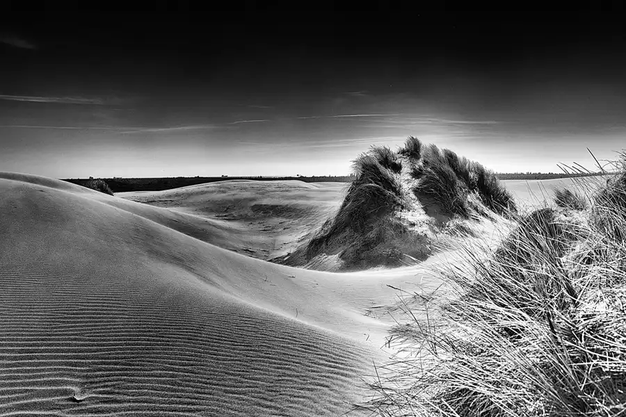 036 | 2025 | Bunken | Rabjerg Mile | © carsten riede fotografie