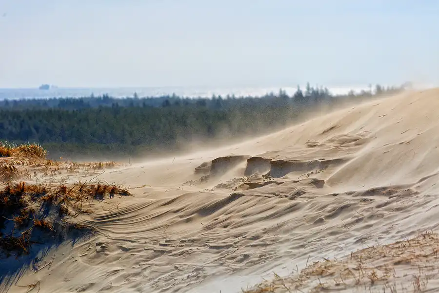 047 | 2025 | Bunken | Rabjerg Mile | © carsten riede fotografie