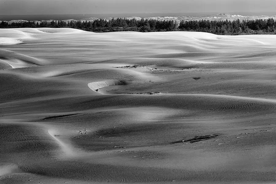 050 | 2025 | Bunken | Rabjerg Mile | © carsten riede fotografie