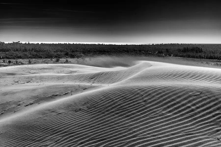 054 | 2025 | Bunken | Rabjerg Mile | © carsten riede fotografie