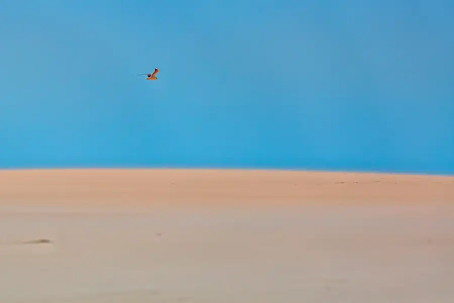 060 | 2025 | Bunken | Rabjerg Mile | © carsten riede fotografie