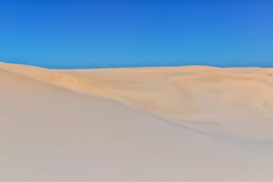 065 | 2025 | Bunken | Rabjerg Mile | © carsten riede fotografie