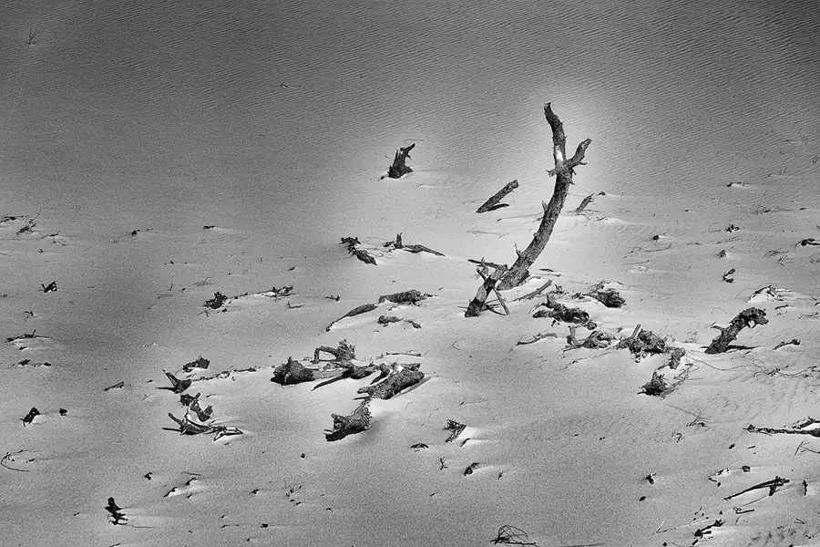 069 | 2025 | Bunken | Rabjerg Mile | © carsten riede fotografie