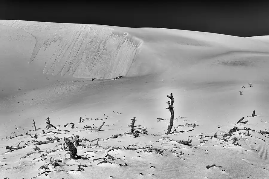 071 | 2025 | Bunken | Rabjerg Mile | © carsten riede fotografie