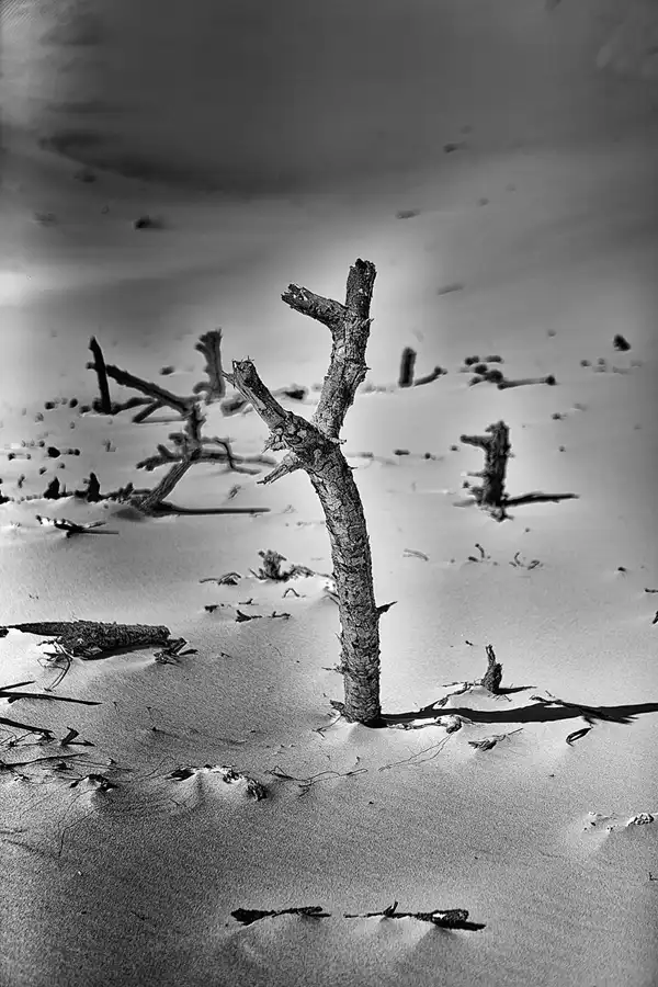 073 | 2025 | Bunken | Rabjerg Mile | © carsten riede fotografie