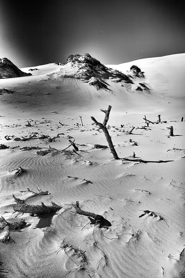 075 | 2025 | Bunken | Rabjerg Mile | © carsten riede fotografie