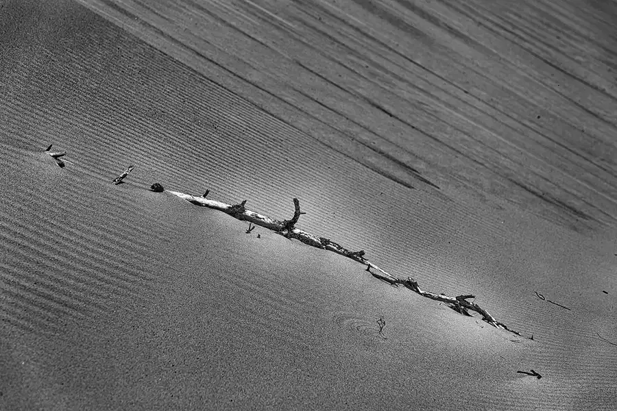 077 | 2025 | Bunken | Rabjerg Mile | © carsten riede fotografie