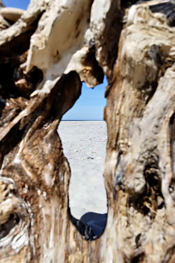 055 | 2025 | Hvide Sande | © carsten riede fotografie