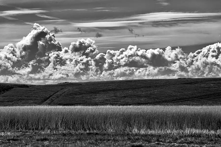 059 | 2025 | Lemvig | © carsten riede fotografie