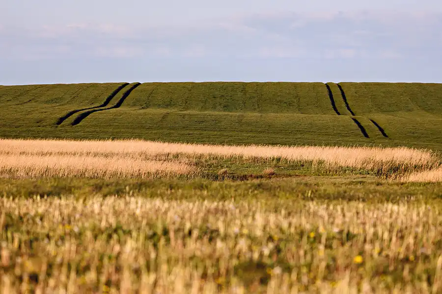 068 | 2025 | Lemvig | © carsten riede fotografie