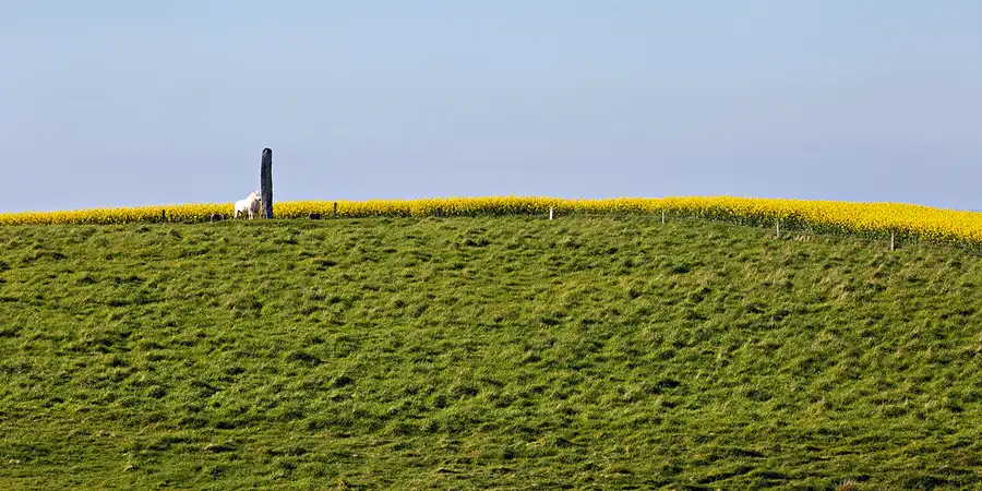 069 | 2025 | Lemvig | © carsten riede fotografie