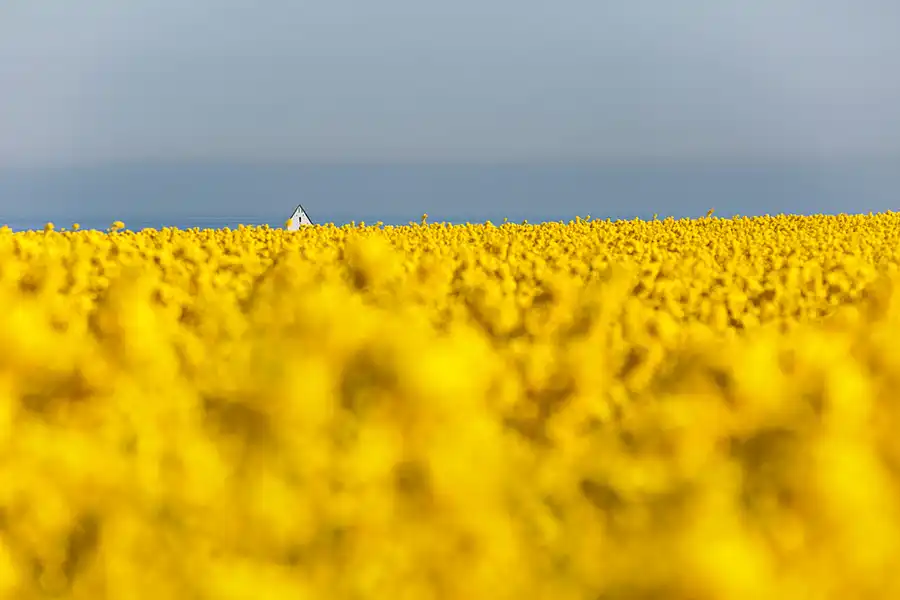 070 | 2025 | Lemvig | © carsten riede fotografie