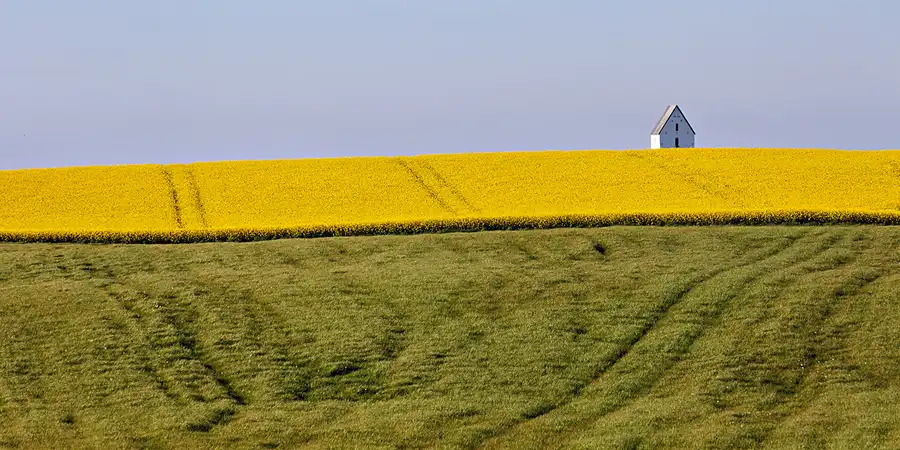 071 | 2025 | Lemvig | © carsten riede fotografie