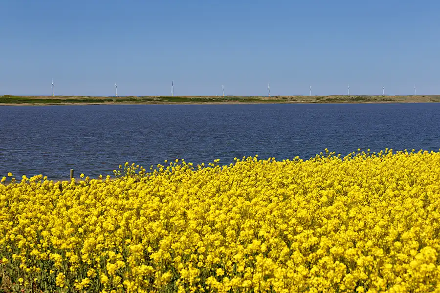 078 | 2025 | Lemvig | © carsten riede fotografie