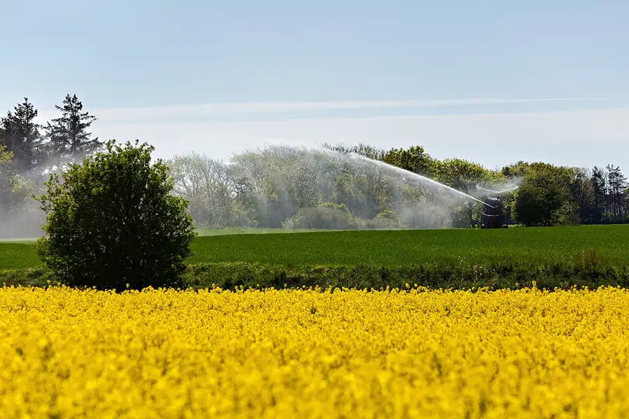 142 | 2025 | Region Midtjylland | © carsten riede fotografie