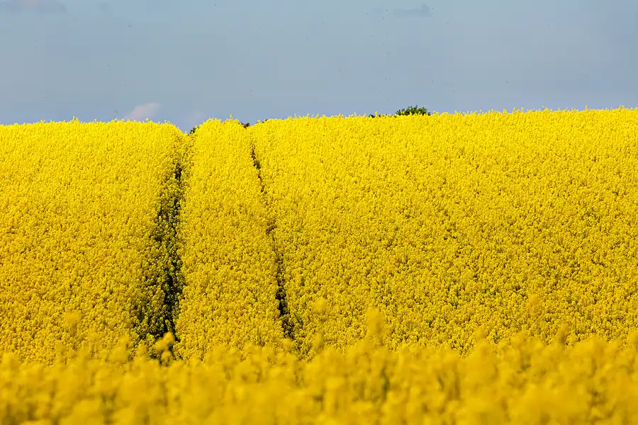 143 | 2025 | Region Midtjylland | © carsten riede fotografie