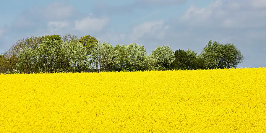 144 | 2025 | Region Midtjylland | © carsten riede fotografie
