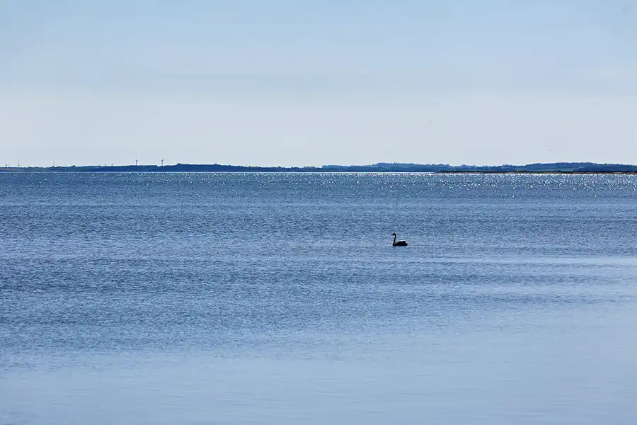 154 | 2025 | Region Midtjylland | © carsten riede fotografie