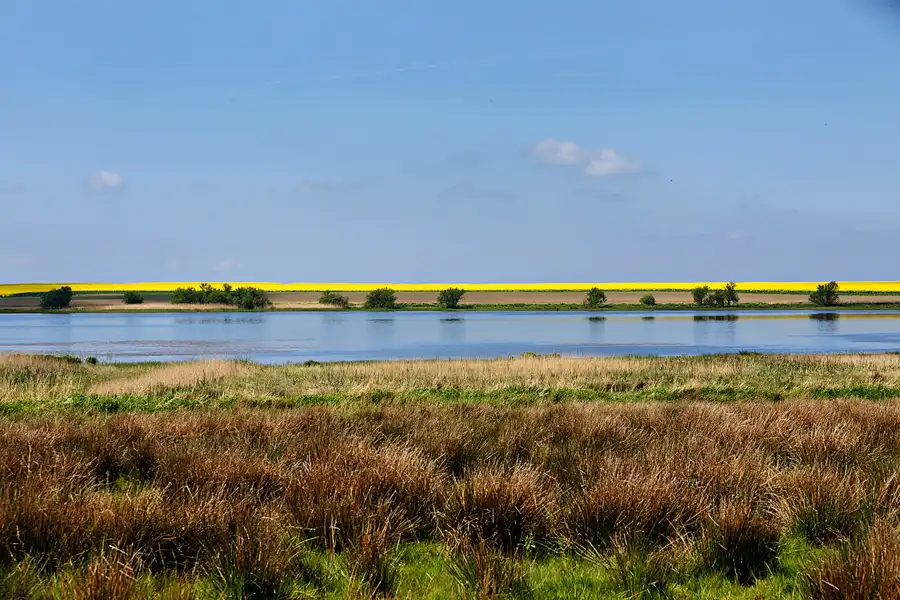 170 | 2025 | Spottrup | © carsten riede fotografie