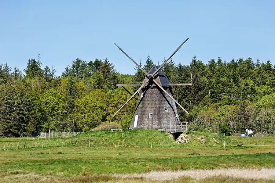 180 | 2025 | Thisted | Faddersbol Molle | © carsten riede fotografie
