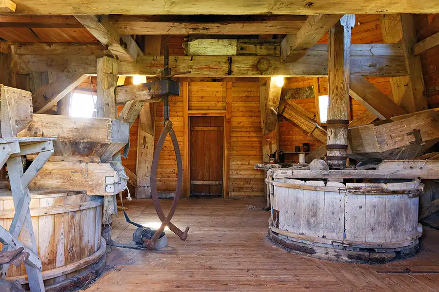 187 | 2025 | Thisted | Faddersbol Molle | © carsten riede fotografie