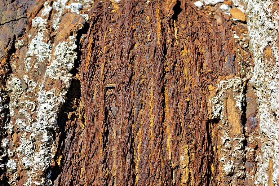 196 | 2025 | Thyboron | © carsten riede fotografie