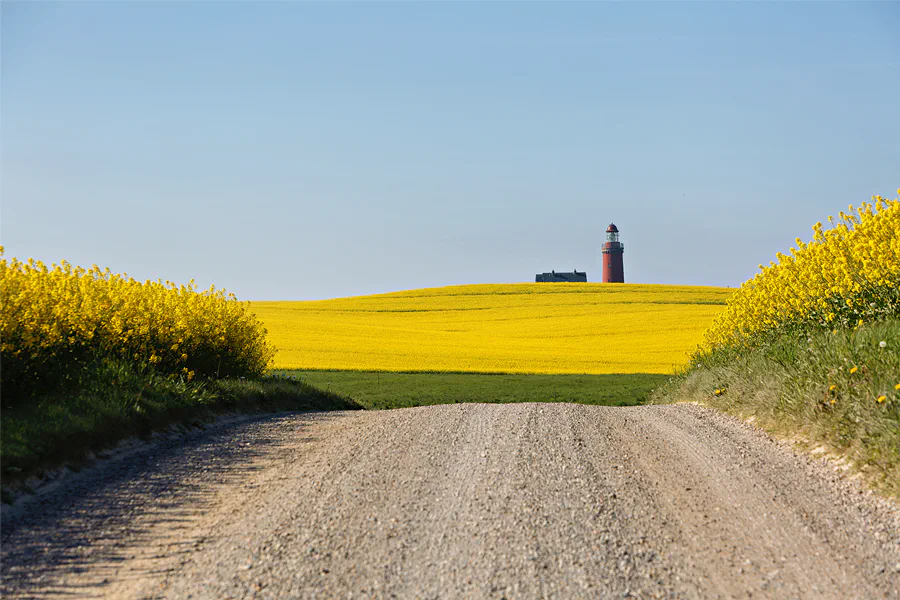 084 | 2025 | Lemvig | Bovbjerg Fyr | © carsten riede fotografie