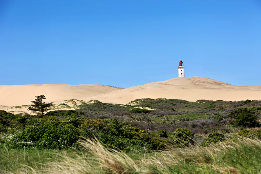 124 | 2025 | Lokken | Rubjerg Knude Fyr | © carsten riede fotografie