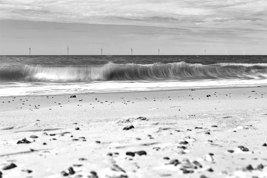 214 | 2025 | Vejlby Klit | © carsten riede fotografie