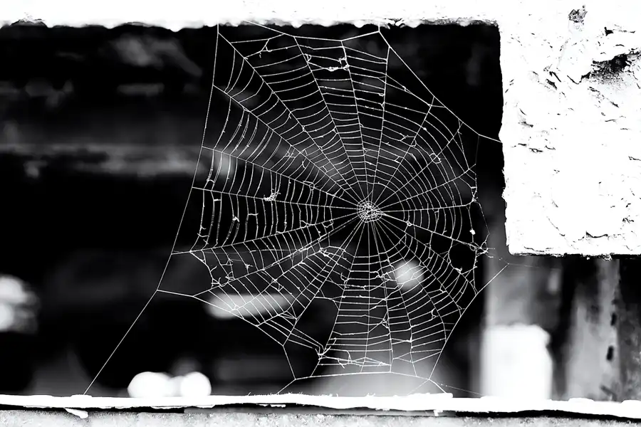 016 | 2025 | Falkenberg/Elster | Loksammlung Falkenberg | © carsten riede fotografie