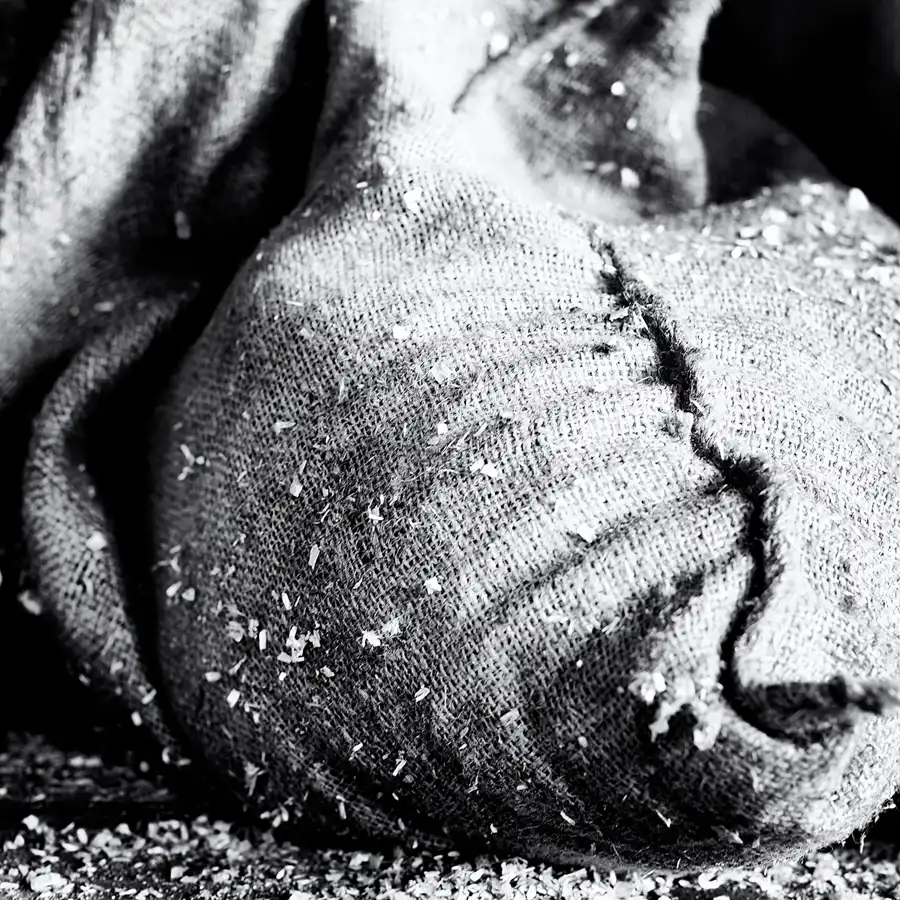 033 | 2025 | Falkenberg/Elster | Loksammlung Falkenberg | © carsten riede fotografie