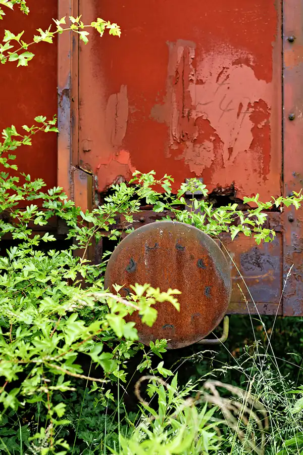 049 | 2025 | Falkenberg/Elster | Loksammlung Falkenberg | © carsten riede fotografie