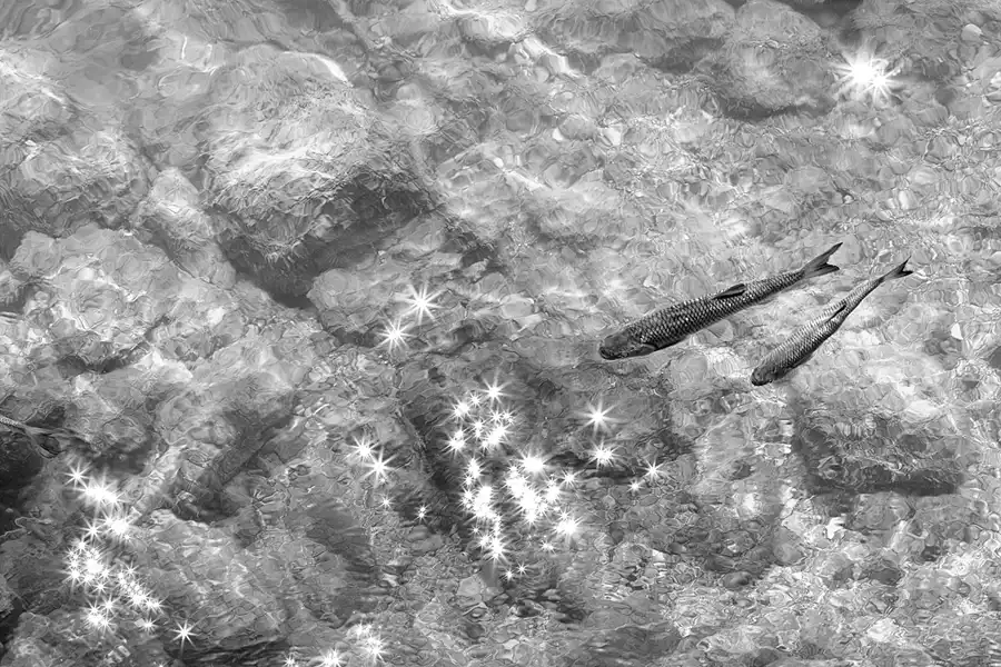 041 | 2025 | St. Wolfgang im Salzkammergut | Wolfgangsee | © carsten riede fotografie