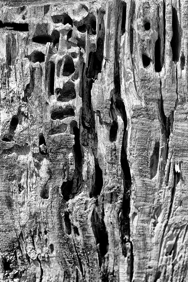 036 | 2025 | Anger | Kloster Höglwörth | © carsten riede fotografie