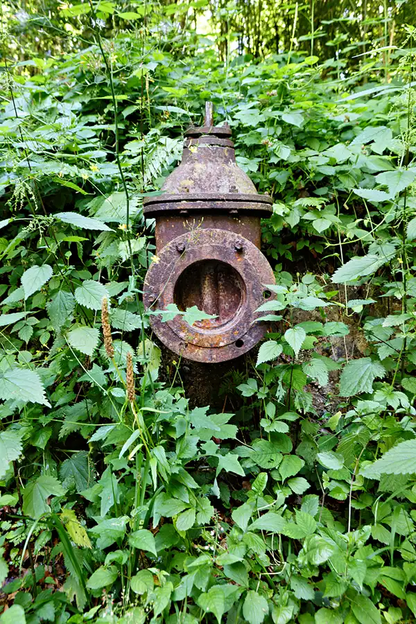 037 | 2025 | Anger | © carsten riede fotografie