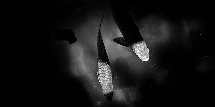 046 | 2025 | Anger | Höglwörther See | © carsten riede fotografie