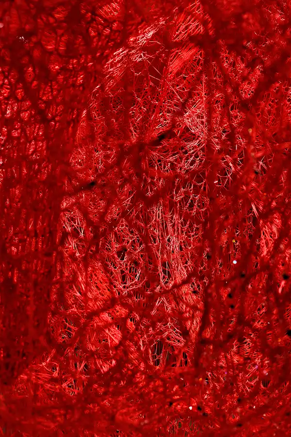 047 | 2025 | Wattens | Swarovski Kristallwelten | © carsten riede fotografie