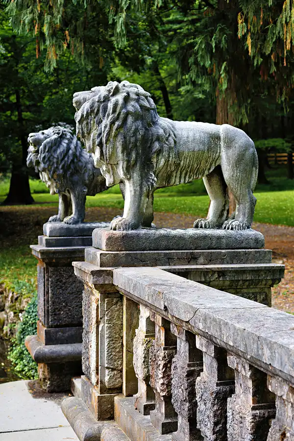 025 | 2025 | Reith im Alpbachtal | Matzenpark | © carsten riede fotografie