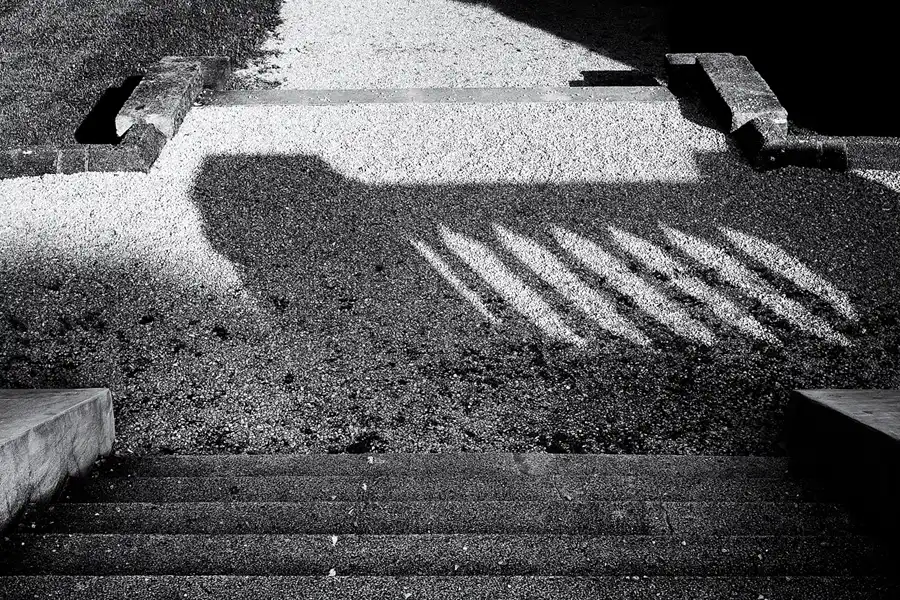 028 | 2025 | Reith im Alpbachtal | Matzenpark | © carsten riede fotografie