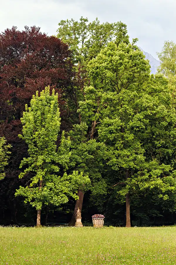 056 | 2025 | Reith im Alpbachtal | Matzenpark | © carsten riede fotografie