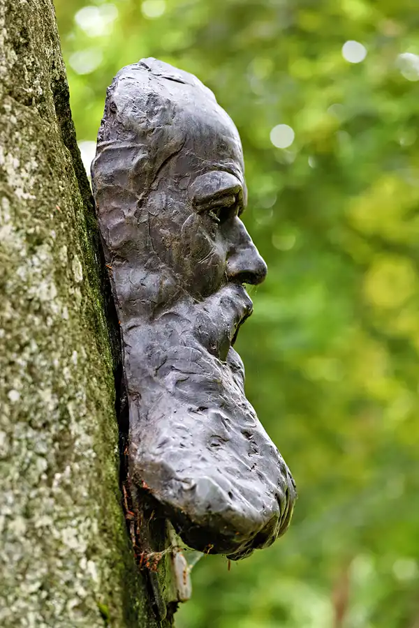 062 | 2025 | Reith im Alpbachtal | Matzenpark | © carsten riede fotografie