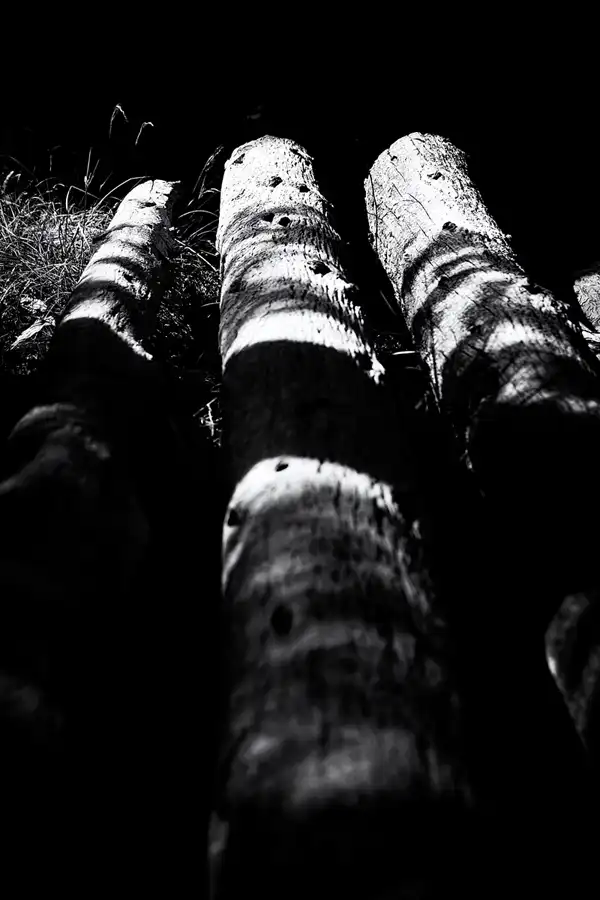 066 | 2025 | Reith im Alpbachtal | Matzenpark | © carsten riede fotografie