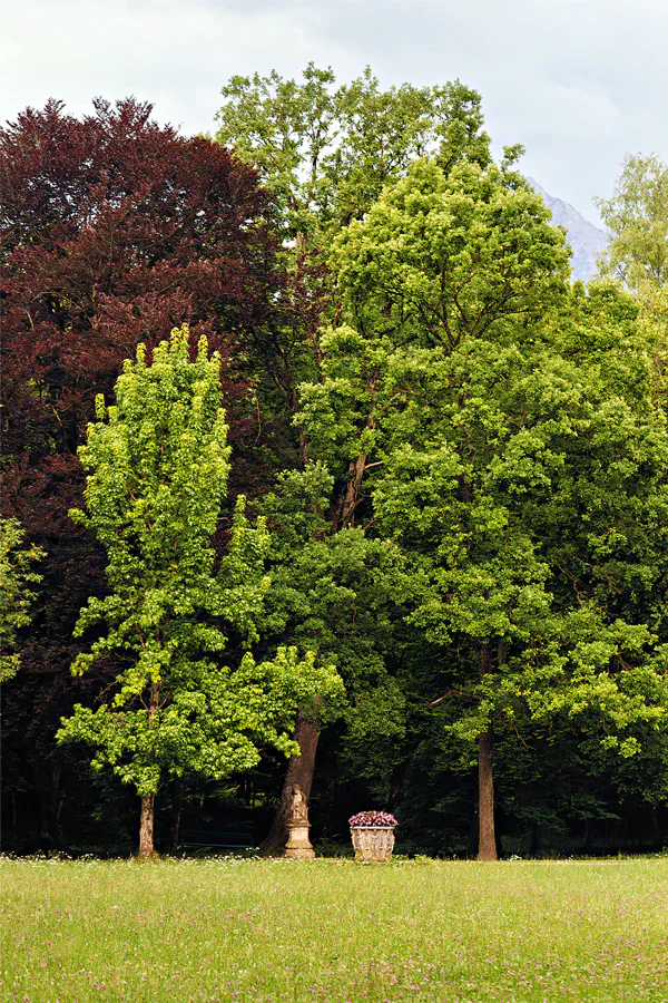 056 | 2025 | Reith im Alpbachtal | Matzenpark | © carsten riede fotografie