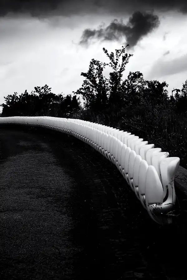 063 | 2025 | München | Allianz Arena | © carsten riede fotografie