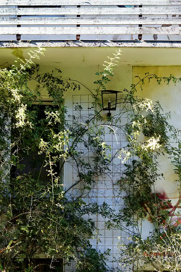 074 | 2025 | Sand | Kurklinik Berghof | © carsten riede fotografie
