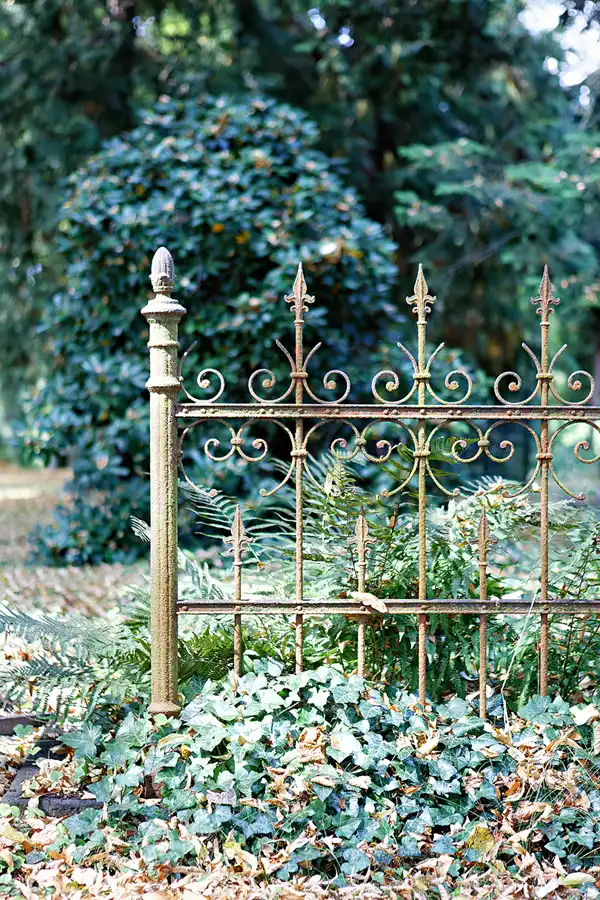 020 | 2025 | Görlitz | Alter Friedhof | © carsten riede fotografie