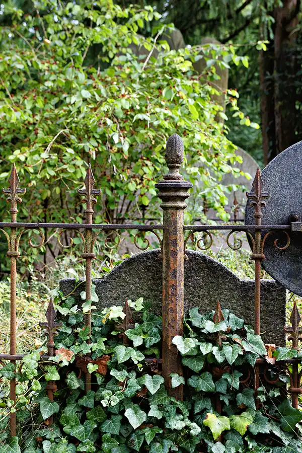 030 | 2025 | Görlitz | Alter Friedhof | © carsten riede fotografie